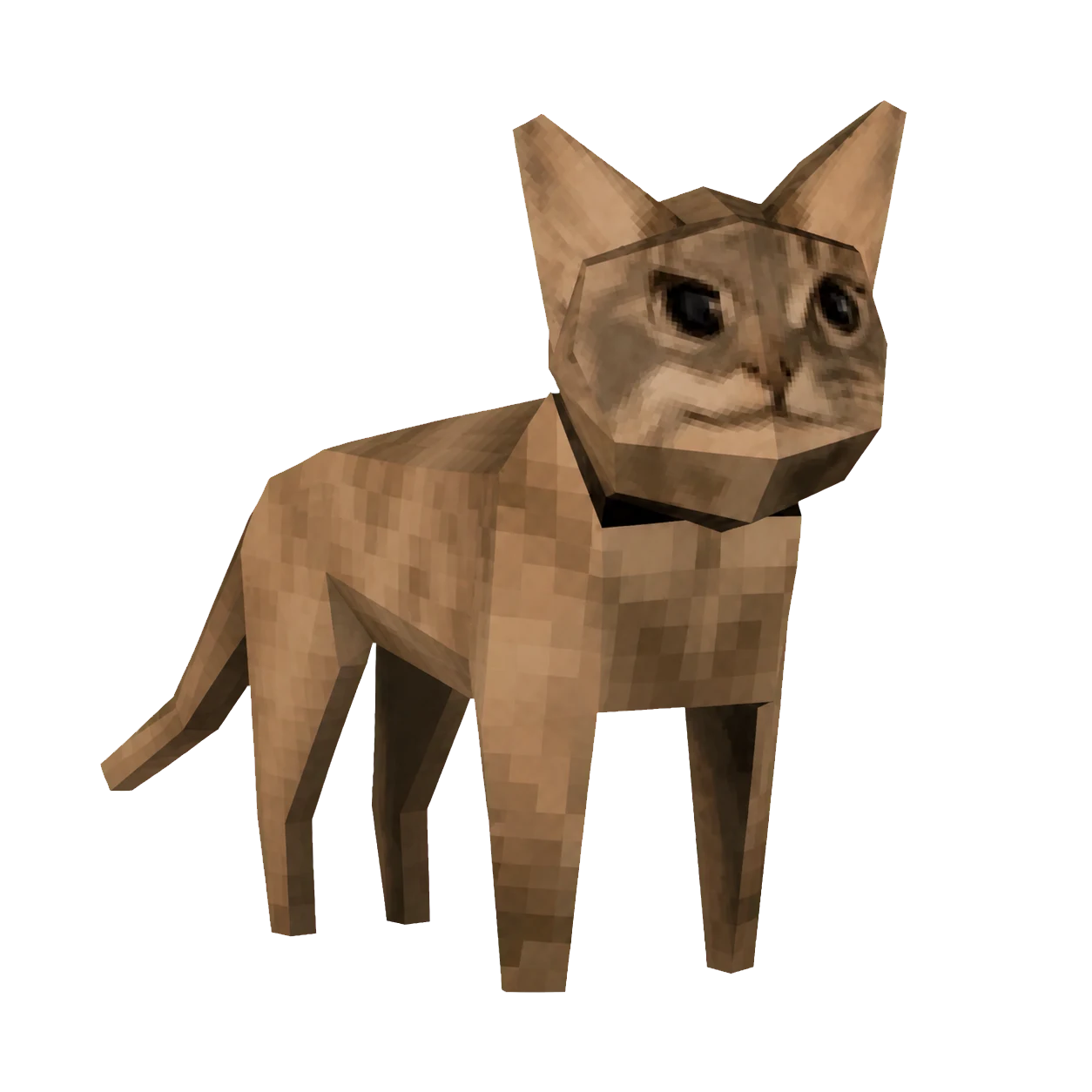 Useless Cat from the side